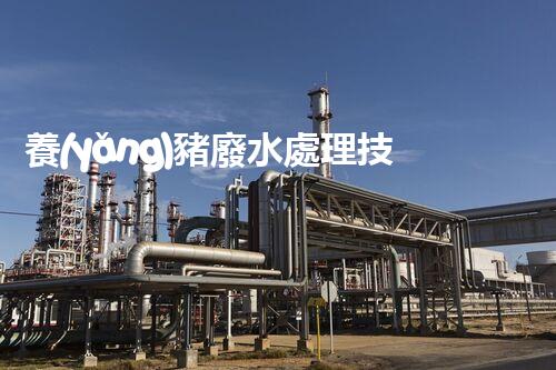 養(yǎng)豬廢水處理技術(shù)革新之路？探尋綠色可持續(xù)發(fā)展新方向！